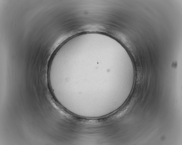 X0000091540986200709141452