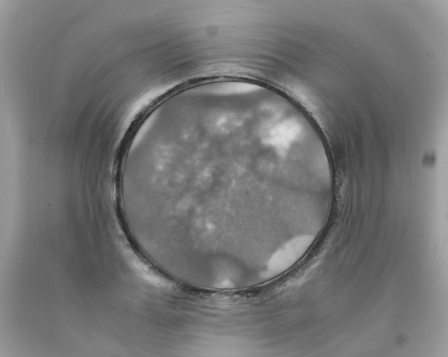 X0000091540987200709141452