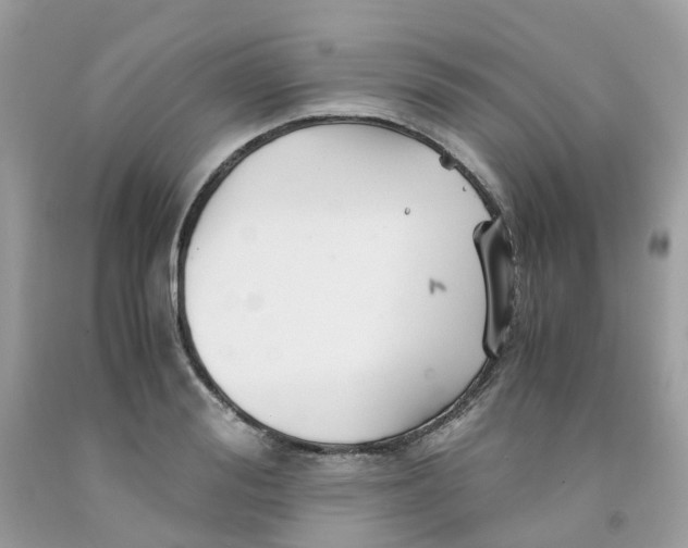 X0000091540988200709141452