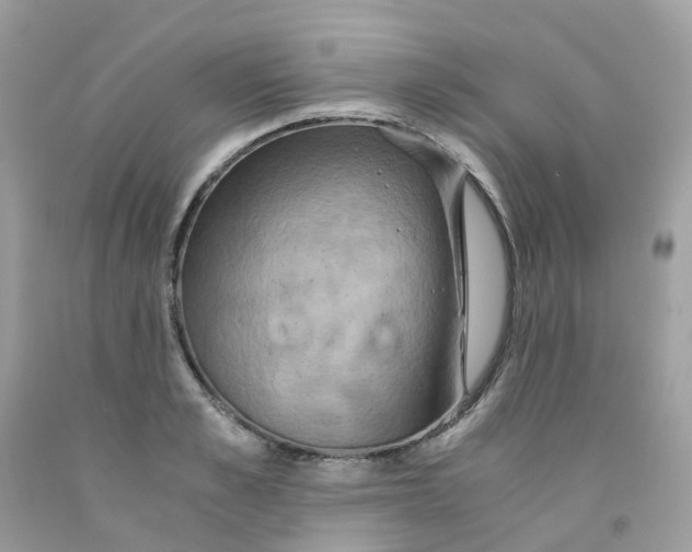 X0000091540989200709141452