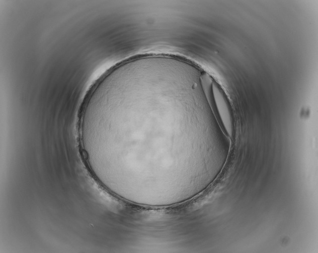 X0000091540990200709141452