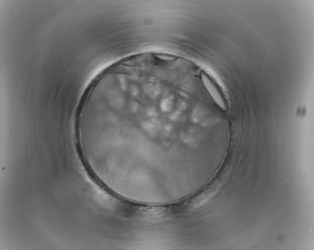 X0000091540991200709141452