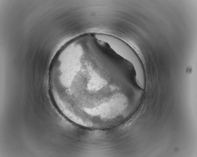 X0000091540992200709141452