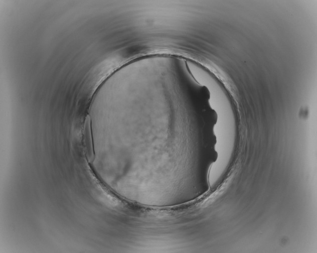 X0000091540993200709141452