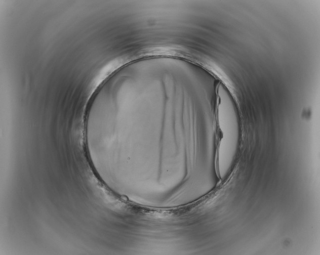 X0000091540994200709141452