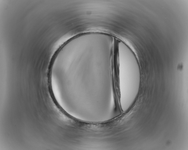 X0000091540995200709141452