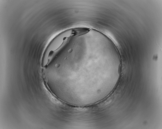 X0000091540996200709141452