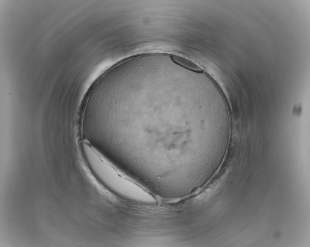 X0000091540997200709141452