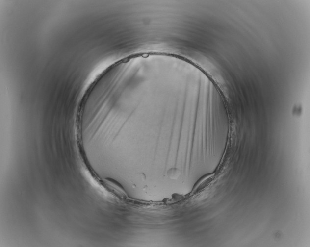 X0000091540998200709141452