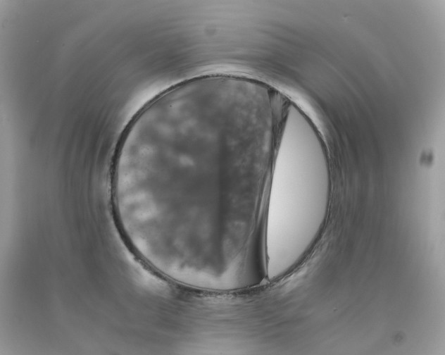 X0000091540999200709141452