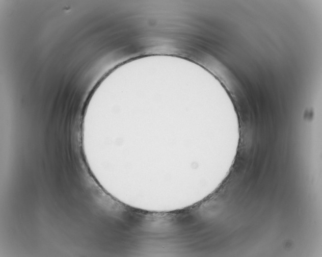 X0000091541000200709141452