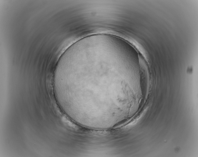 X0000091541001200709141452