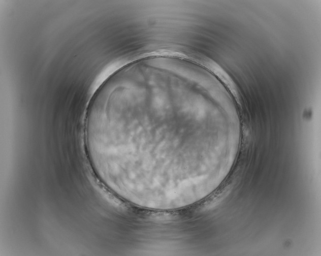 X0000091541002200709141452