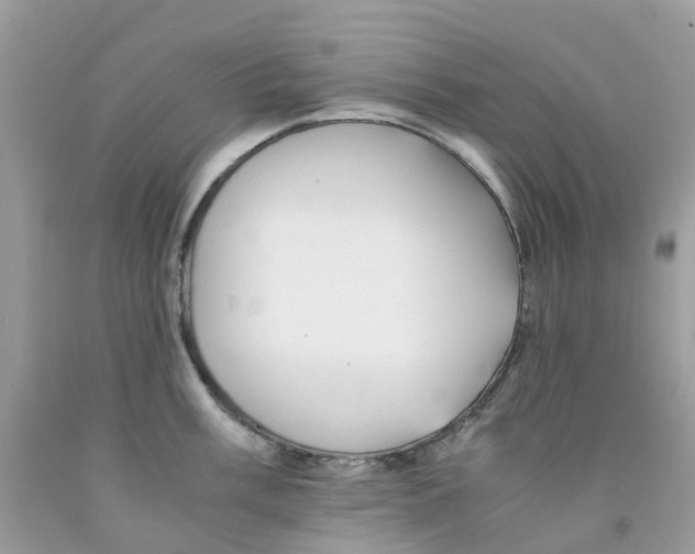 X0000091541003200709141452