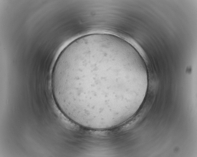 X0000091541004200709141452