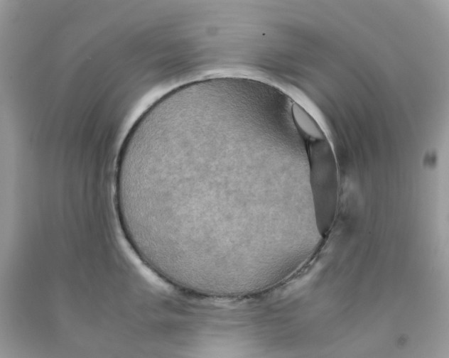 X0000091541005200709141452