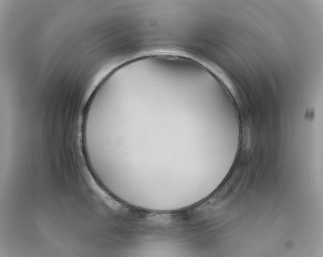 X0000091541006200709141452