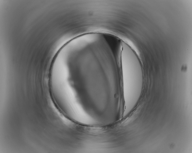 X0000091541007200709141452