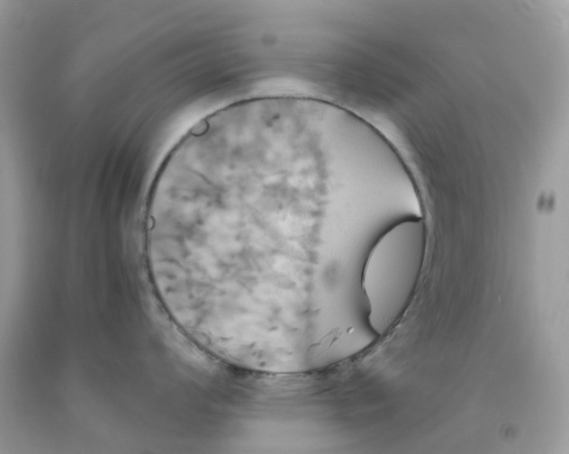 X0000091541008200709141452