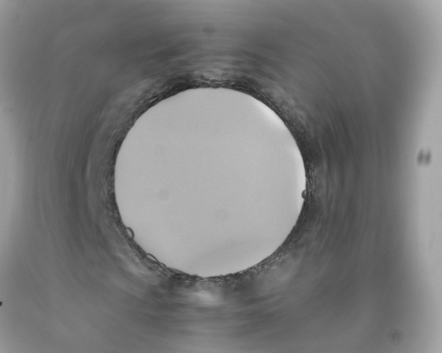 X0000091541009200709141451