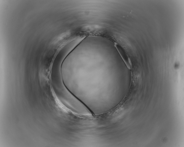 X0000091541010200709141451