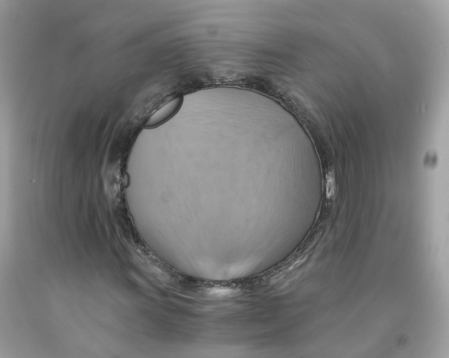 X0000091541011200709141451