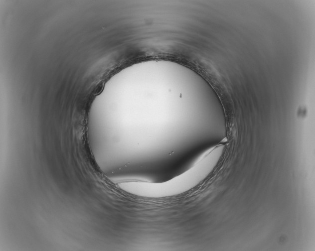 X0000091541012200709141451