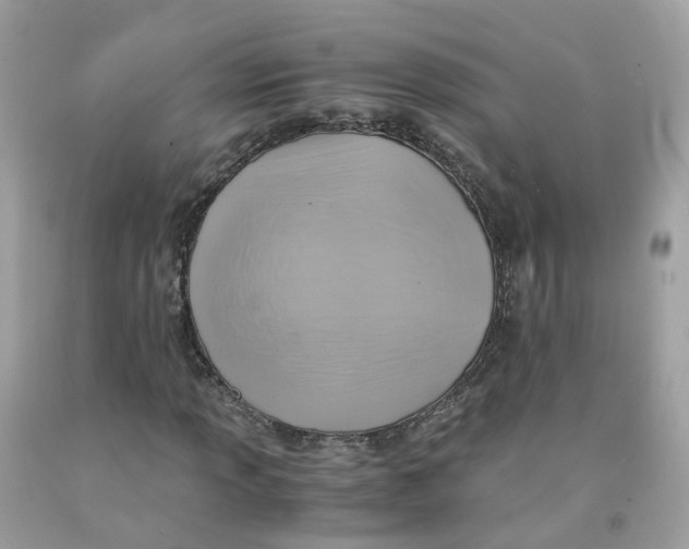 X0000091541013200709141451