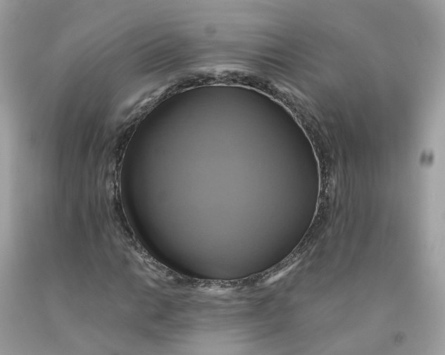 X0000091541014200709141451