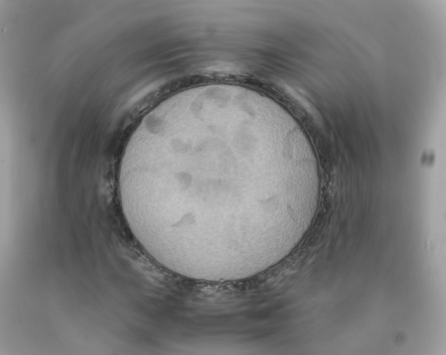 X0000091541015200709141451