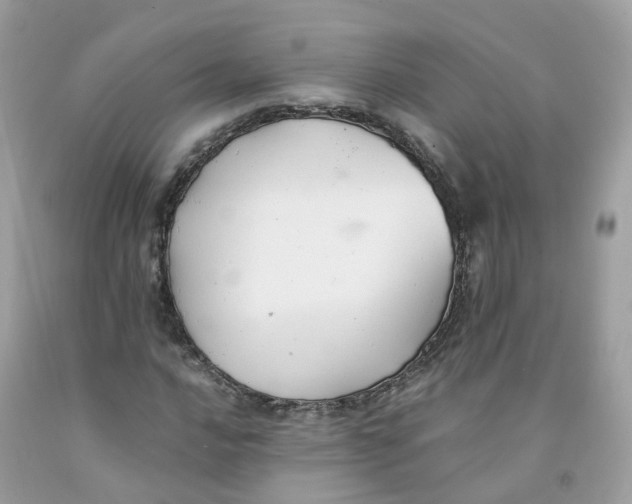 X0000091541016200709141451