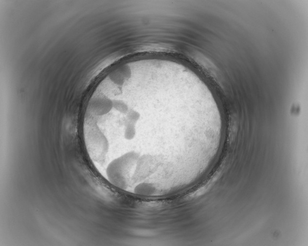 X0000091541017200709141451