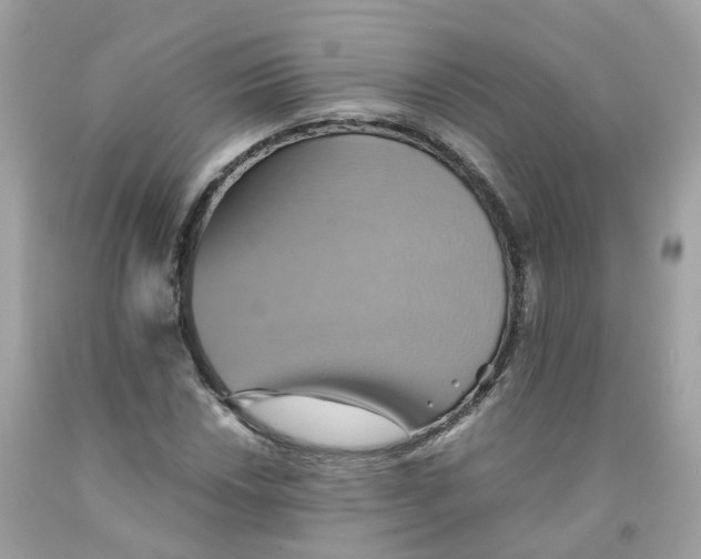 X0000091541018200709141451