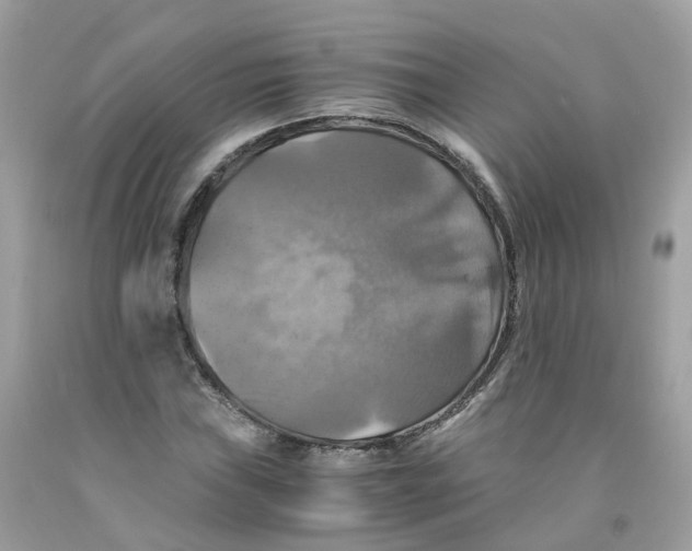 X0000091541019200709141451