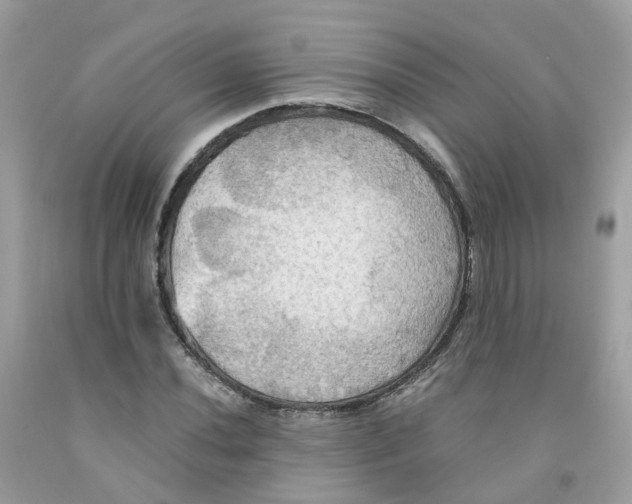 X0000091541020200709141451