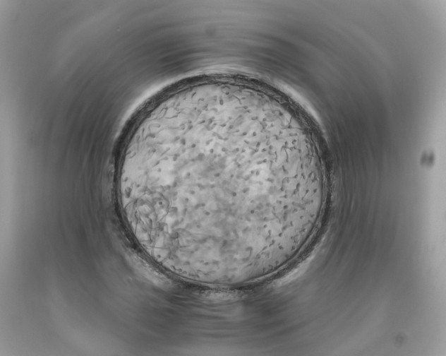 X0000091541021200709141451