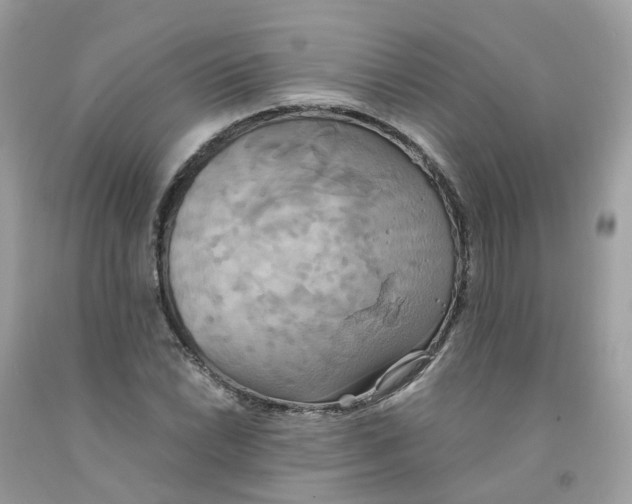 X0000091541022200709141451