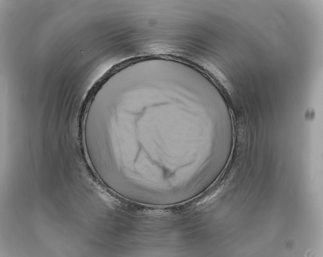 X0000091541023200709141451