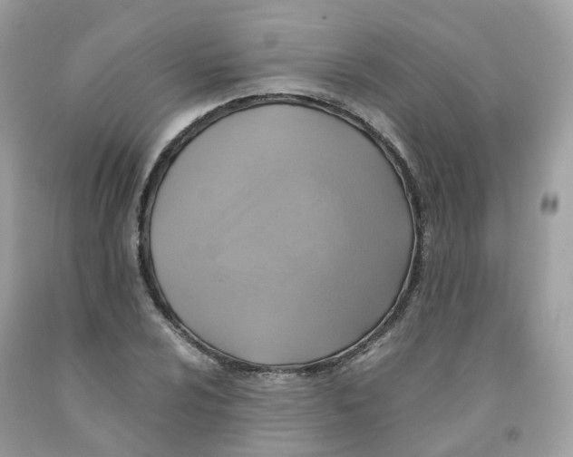 X0000091541024200709141451