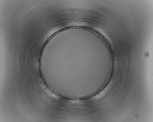 X0000091541025200709141451