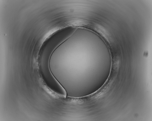 X0000091541026200709141451