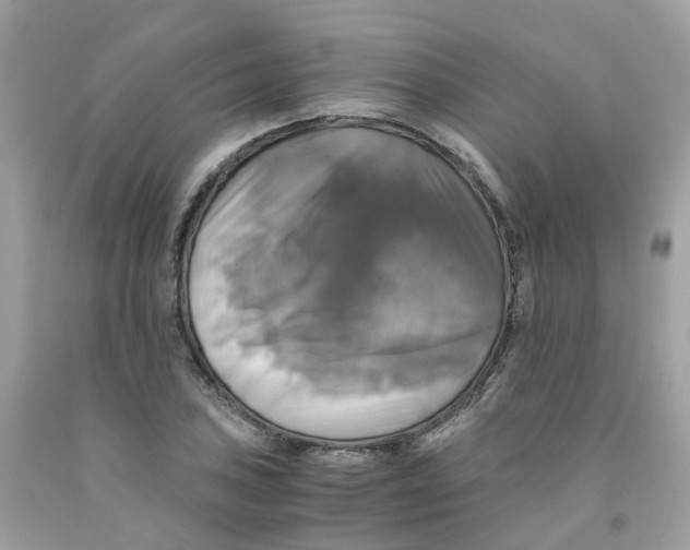 X0000091541027200709141451