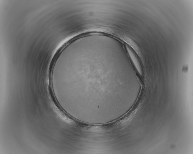 X0000091541028200709141451