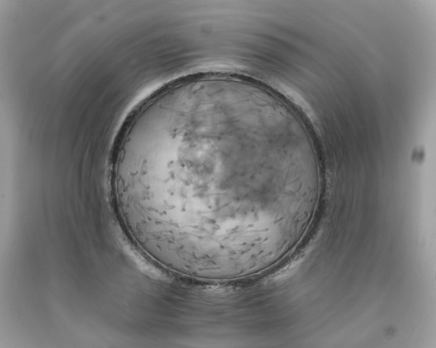 X0000091541029200709141452