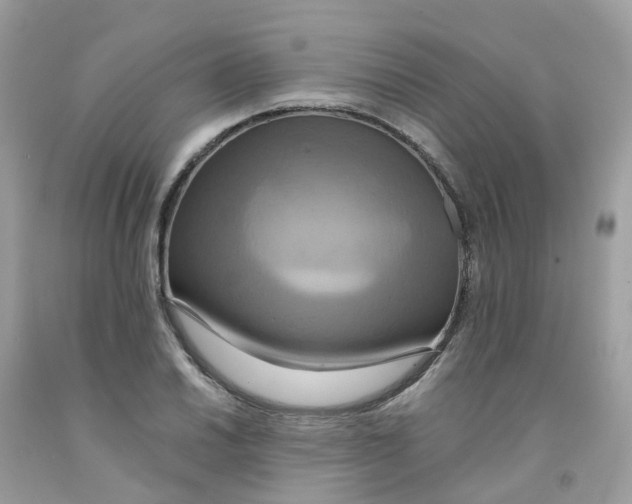 X0000091541030200709141452