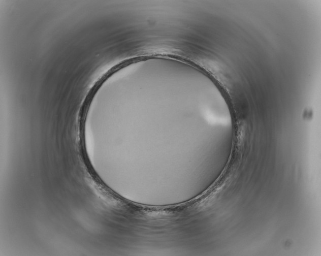 X0000091541031200709141452