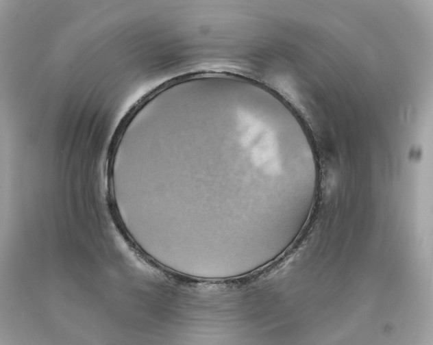 X0000091541032200709141452