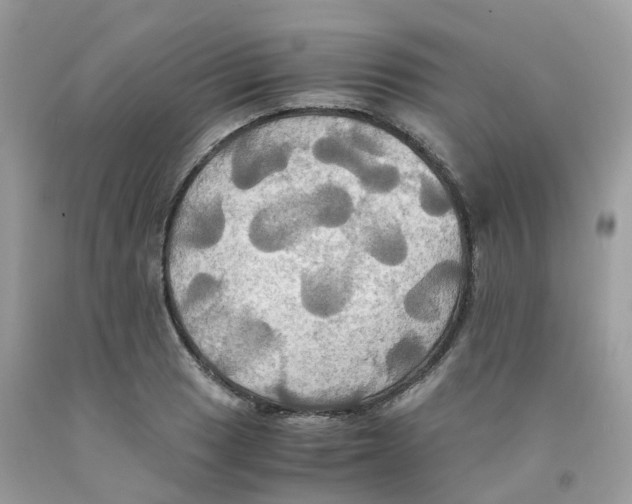 X0000091541033200709141452