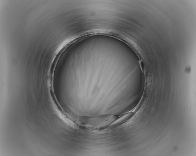 X0000091541034200709141452