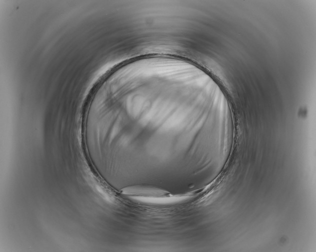 X0000091541035200709141452